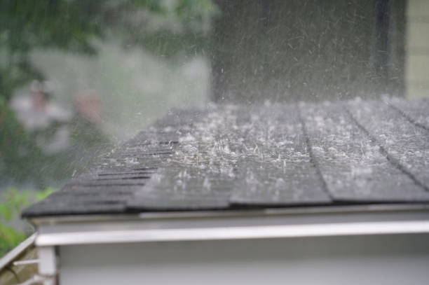 Best Skylight Installation and Repair  in Dublin, VA